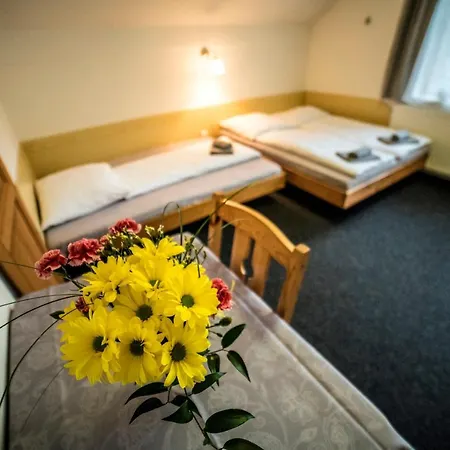 222 - Family In Pensionat 3*