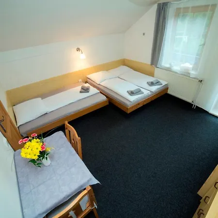 222 - Family In Pensionat 3*