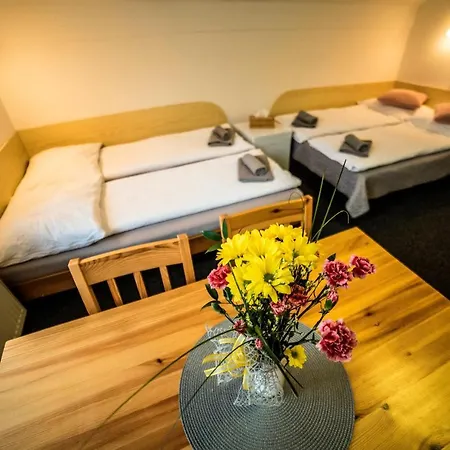 Pensionat 222 - Family In Vrchlabí