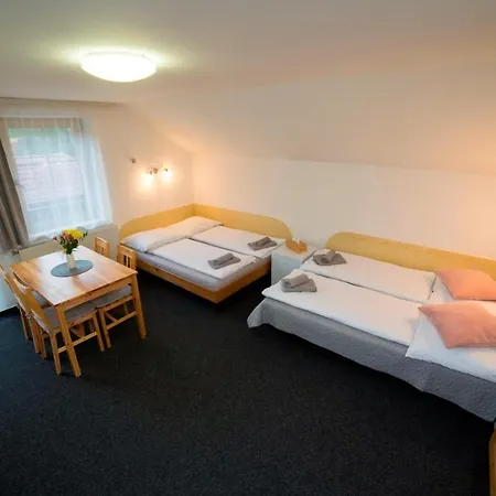 222 - Family In Pensionat Vrchlabí