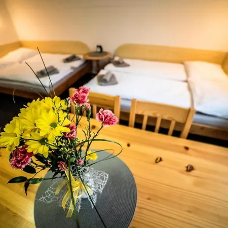 222 - Family In Pensionat