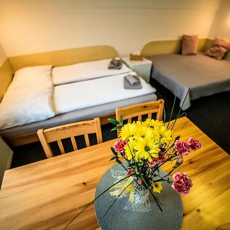 Pensionat 222 - Family In